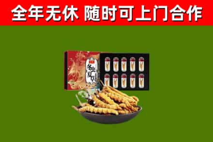 绍兴烟酒回收冬虫夏草礼盒.jpg