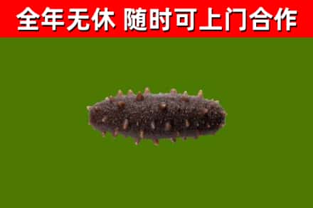 绍兴烟酒回收干海参.jpg